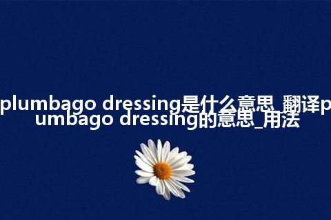 plumbago dressing是什么意思_翻译plumbago dressing的意思_用法