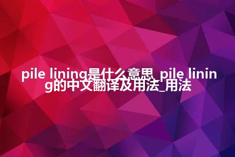 pile lining是什么意思_pile lining的中文翻译及用法_用法