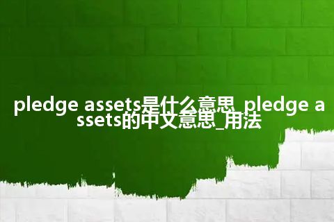pledge assets是什么意思_pledge assets的中文意思_用法