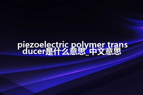 piezoelectric polymer transducer是什么意思_中文意思