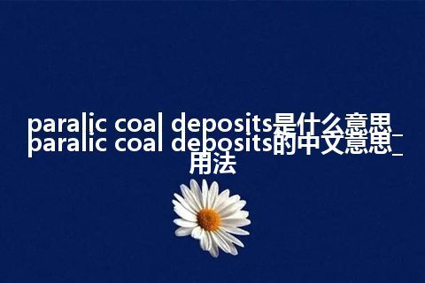 paralic coal deposits是什么意思_paralic coal deposits的中文意思_用法