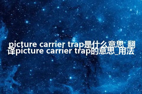 picture carrier trap是什么意思_翻译picture carrier trap的意思_用法