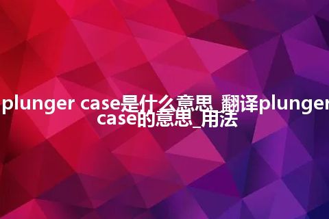 plunger case是什么意思_翻译plunger case的意思_用法