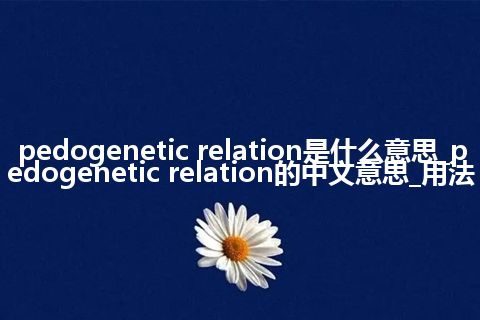 pedogenetic relation是什么意思_pedogenetic relation的中文意思_用法