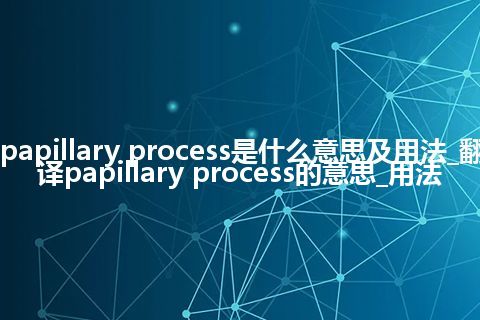 papillary process是什么意思及用法_翻译papillary process的意思_用法