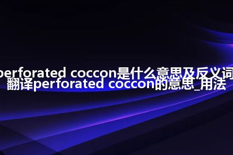 perforated coccon是什么意思及反义词_翻译perforated coccon的意思_用法
