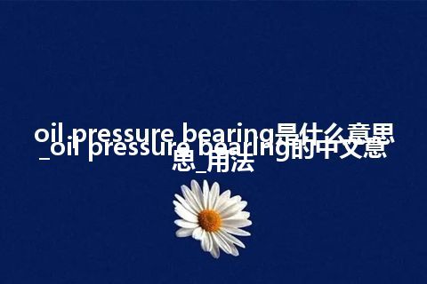 oil pressure bearing是什么意思_oil pressure bearing的中文意思_用法