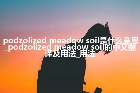 podzolized meadow soil是什么意思_podzolized meadow soil的中文翻译及用法_用法