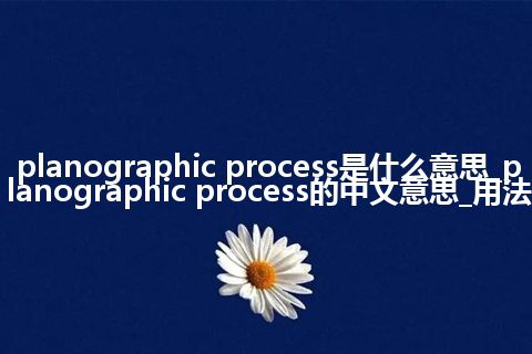 planographic process是什么意思_planographic process的中文意思_用法