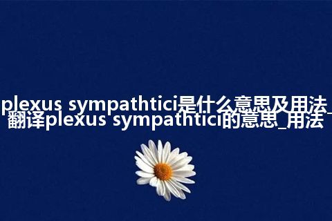 plexus sympathtici是什么意思及用法_翻译plexus sympathtici的意思_用法