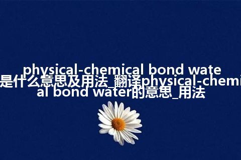 physical-chemical bond water是什么意思及用法_翻译physical-chemical bond water的意思_用法