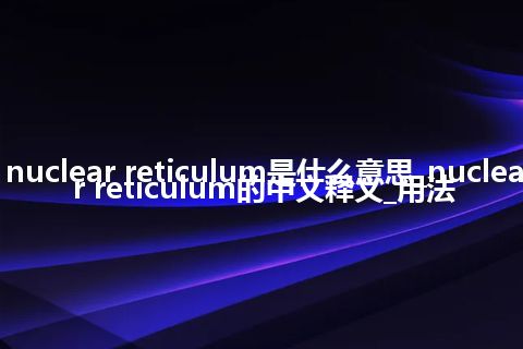 nuclear reticulum是什么意思_nuclear reticulum的中文释义_用法