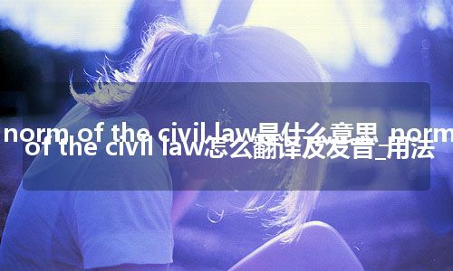 norm of the civil law是什么意思_norm of the civil law怎么翻译及发音_用法
