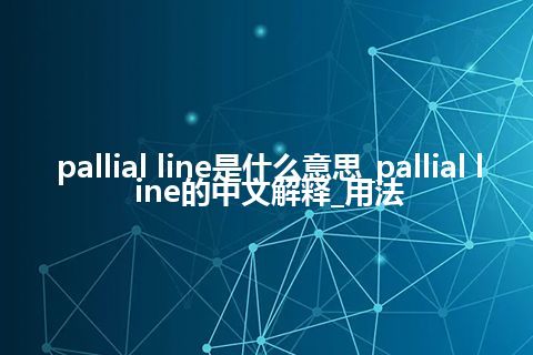 pallial line是什么意思_pallial line的中文解释_用法