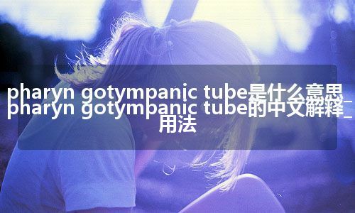 pharyn gotympanic tube是什么意思_pharyn gotympanic tube的中文解释_用法