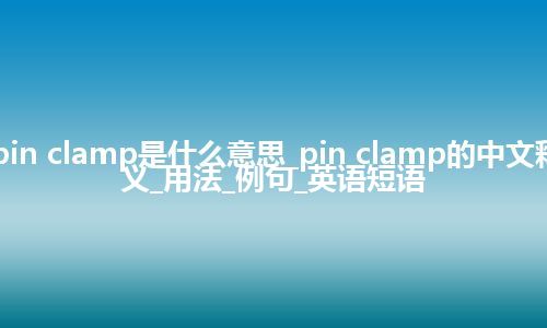 pin clamp是什么意思_pin clamp的中文释义_用法_例句_英语短语
