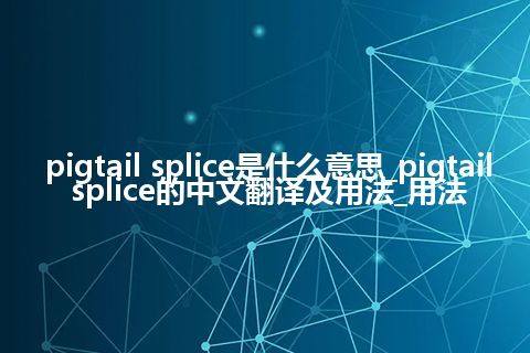 pigtail splice是什么意思_pigtail splice的中文翻译及用法_用法