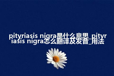 pityriasis nigra是什么意思_pityriasis nigra怎么翻译及发音_用法