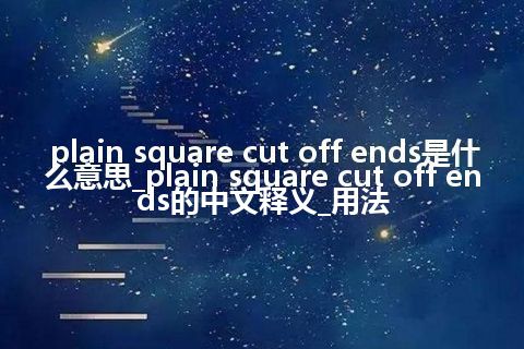 plain square cut off ends是什么意思_plain square cut off ends的中文释义_用法