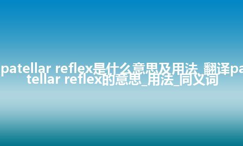 patellar reflex是什么意思及用法_翻译patellar reflex的意思_用法_同义词