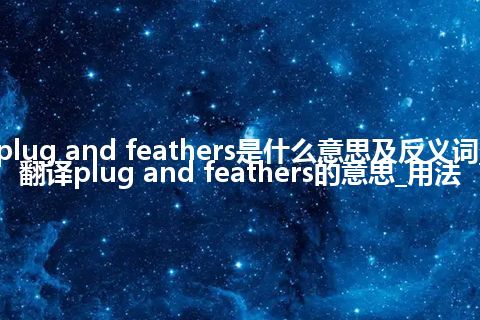 plug and feathers是什么意思及反义词_翻译plug and feathers的意思_用法