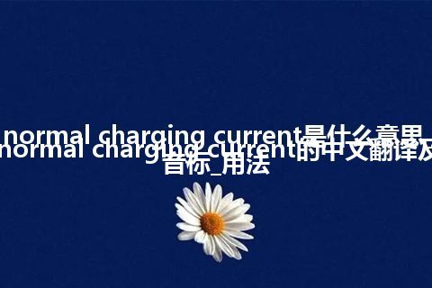 normal charging current是什么意思_normal charging current的中文翻译及音标_用法