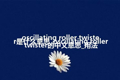 oscillating roller twister是什么意思_oscillating roller twister的中文意思_用法