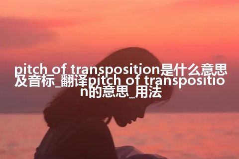 pitch of transposition是什么意思及音标_翻译pitch of transposition的意思_用法