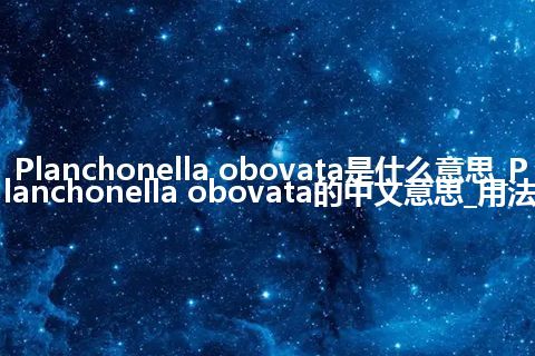 Planchonella obovata是什么意思_Planchonella obovata的中文意思_用法