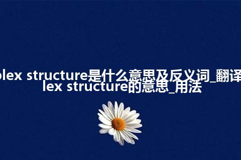 plex structure是什么意思及反义词_翻译plex structure的意思_用法