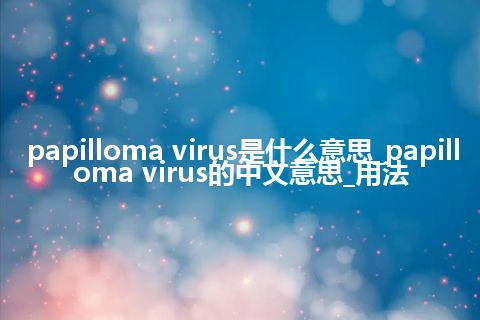 papilloma virus是什么意思_papilloma virus的中文意思_用法