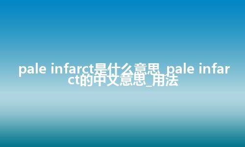 pale infarct是什么意思_pale infarct的中文意思_用法