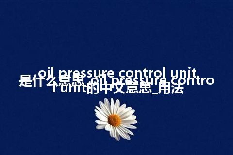 oil pressure control unit是什么意思_oil pressure control unit的中文意思_用法