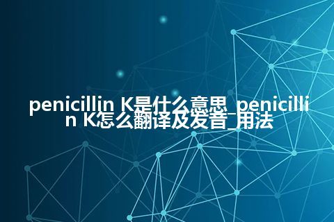 penicillin K是什么意思_penicillin K怎么翻译及发音_用法