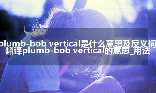 plumb-bob vertical是什么意思及反义词_翻译plumb-bob vertical的意思_用法