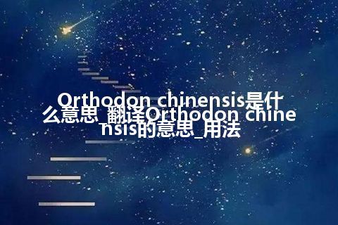 Orthodon chinensis是什么意思_翻译Orthodon chinensis的意思_用法