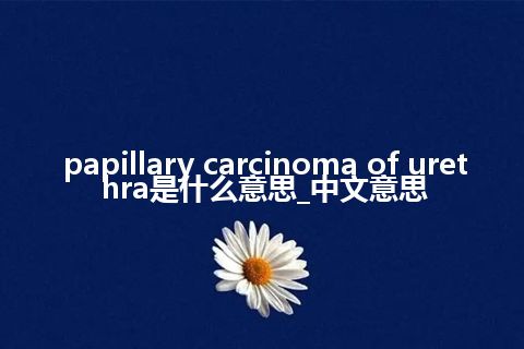 papillary carcinoma of urethra是什么意思_中文意思
