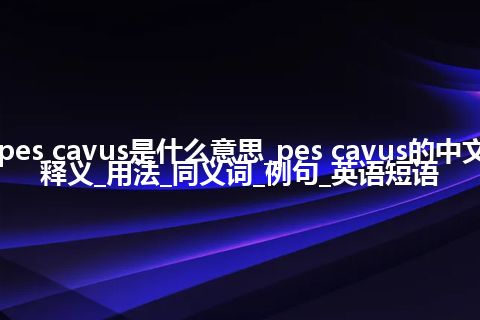 pes cavus是什么意思_pes cavus的中文释义_用法_同义词_例句_英语短语