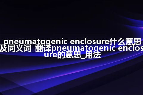 pneumatogenic enclosure什么意思及同义词_翻译pneumatogenic enclosure的意思_用法