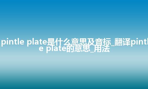 pintle plate是什么意思及音标_翻译pintle plate的意思_用法