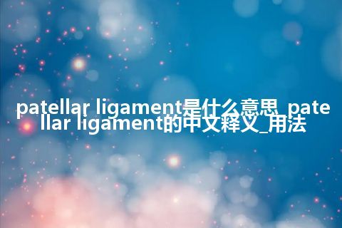 patellar ligament是什么意思_patellar ligament的中文释义_用法