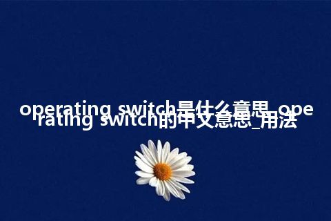 operating switch是什么意思_operating switch的中文意思_用法