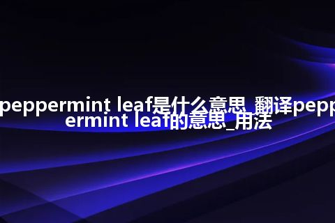 peppermint leaf是什么意思_翻译peppermint leaf的意思_用法