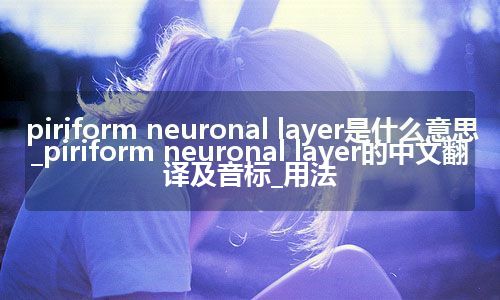 piriform neuronal layer是什么意思_piriform neuronal layer的中文翻译及音标_用法