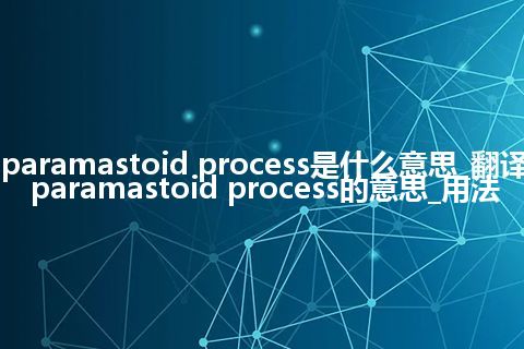 paramastoid process是什么意思_翻译paramastoid process的意思_用法