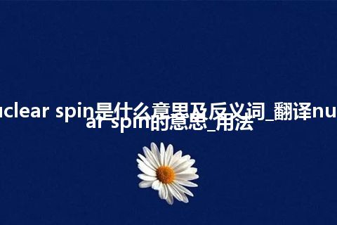 nuclear spin是什么意思及反义词_翻译nuclear spin的意思_用法