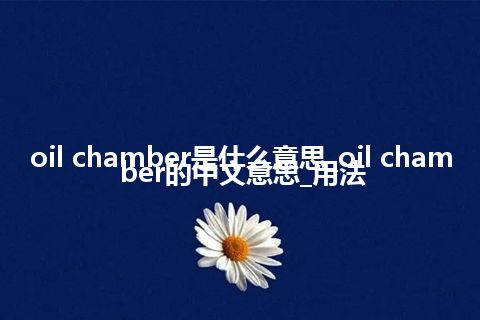 oil chamber是什么意思_oil chamber的中文意思_用法