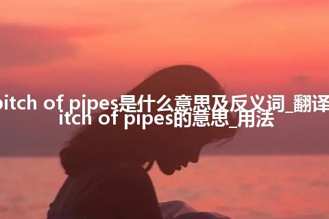 pitch of pipes是什么意思及反义词_翻译pitch of pipes的意思_用法