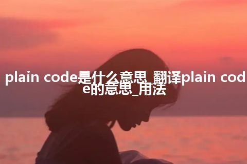 plain code是什么意思_翻译plain code的意思_用法