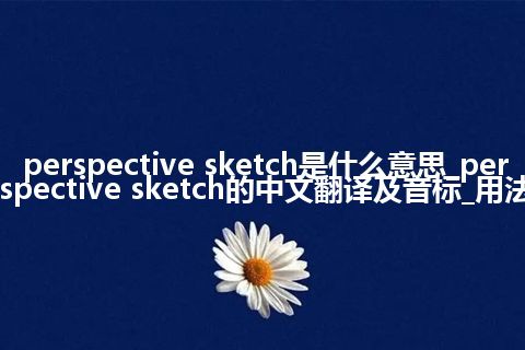 perspective sketch是什么意思_perspective sketch的中文翻译及音标_用法